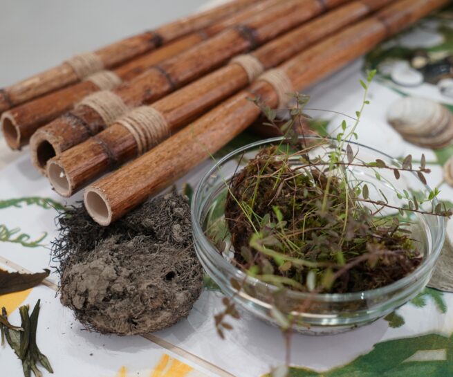 "Marshy Substances" explores the idea of "becoming-with" through the practice of listening during an artistic research residency at Memu Earth Lab Japan.