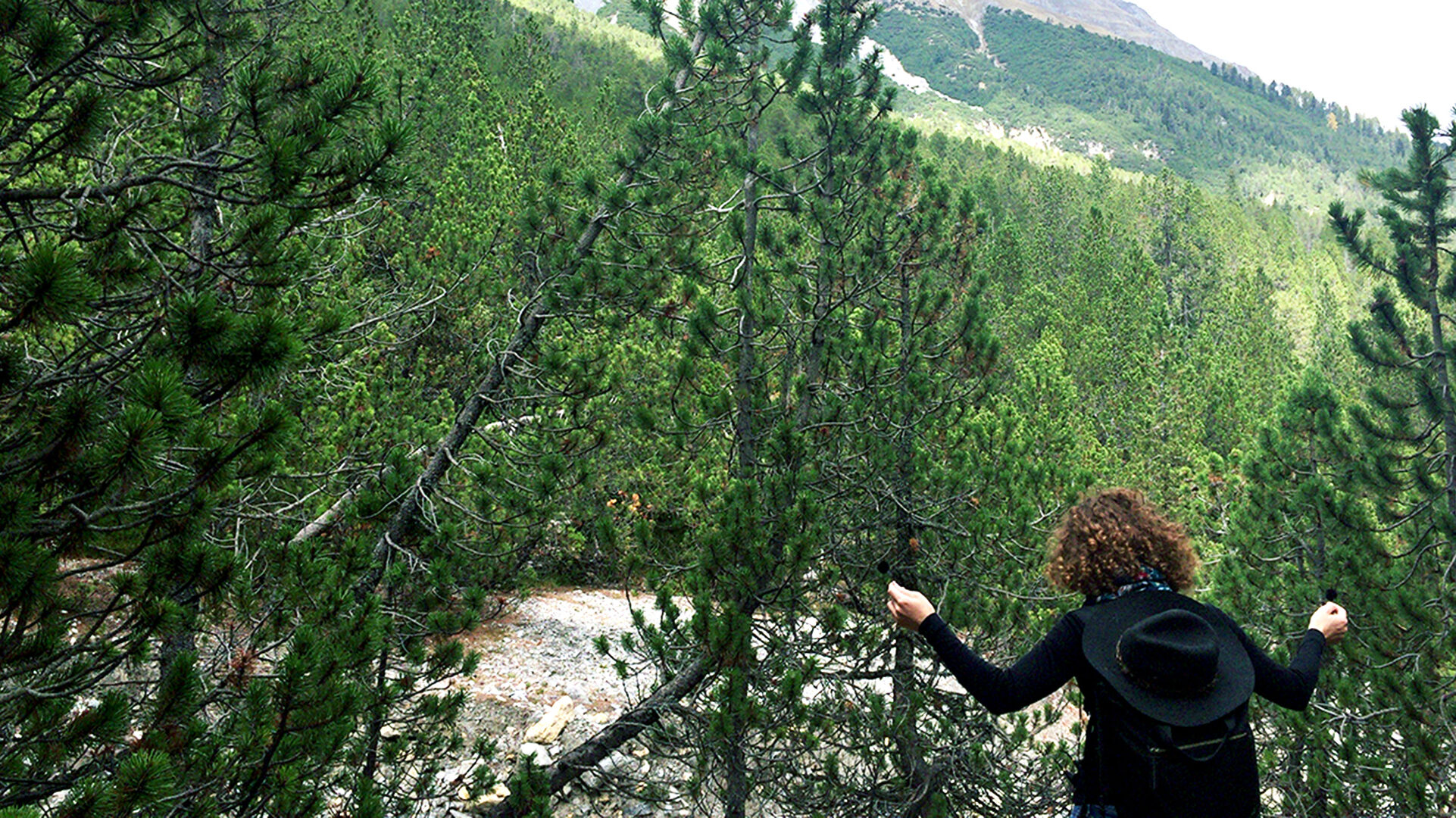 Field Recording